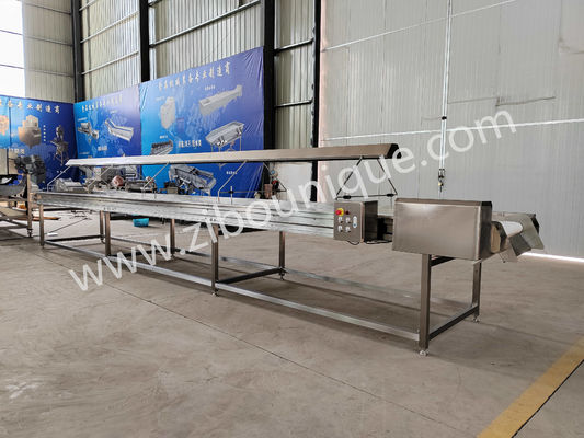220v/ 380v Edelstahl 304 Nuss Auswahlförderband für Rosinen Sortiermaschine